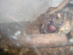 DSCF2026.JPG